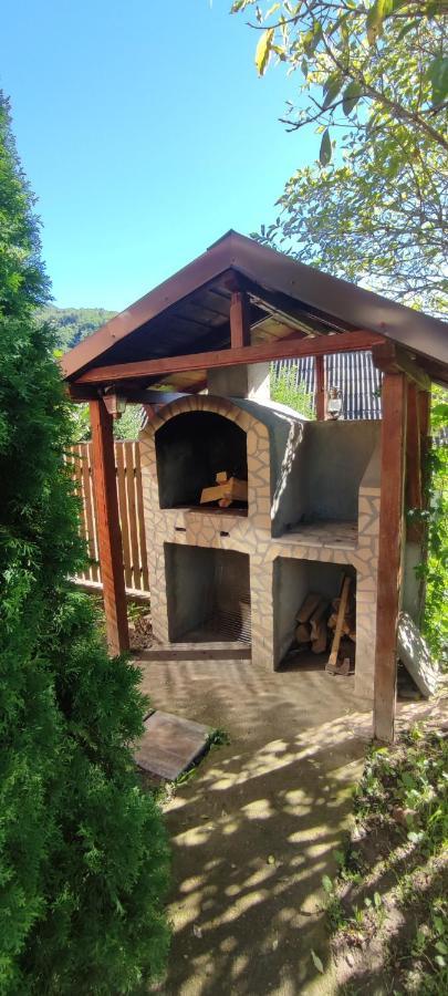 Cottage In Traditional Village Bradulet, Arges County 外观 照片