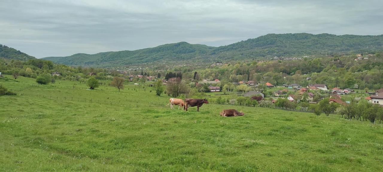 Cottage In Traditional Village Bradulet, Arges County 外观 照片