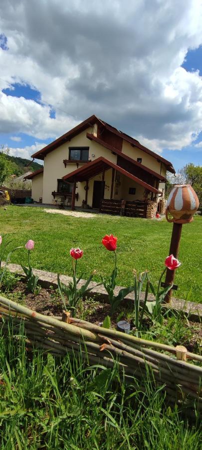 Cottage In Traditional Village Bradulet, Arges County 外观 照片